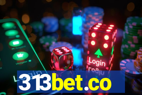 313bet.co