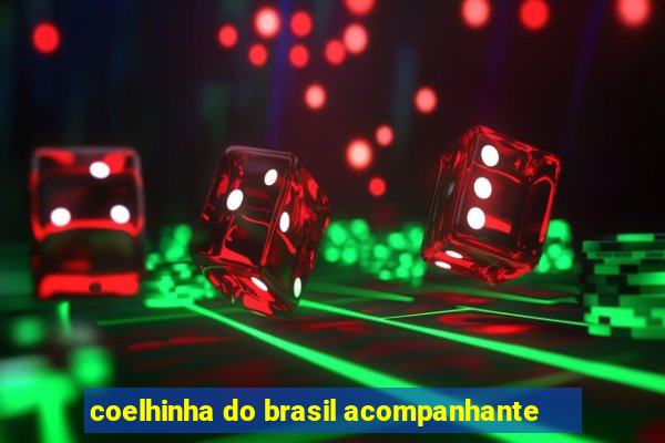 coelhinha do brasil acompanhante