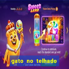 gato no telhado significado espiritual