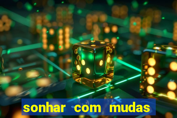 sonhar com mudas de plantas